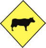 Cattle Crossing Ahead road sign